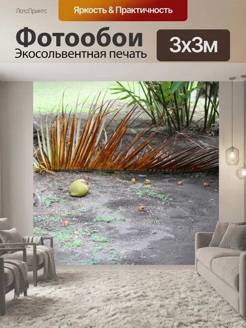 Фотообои Кокос на земле