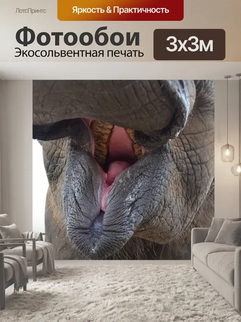 Фотообои Слоновий рот