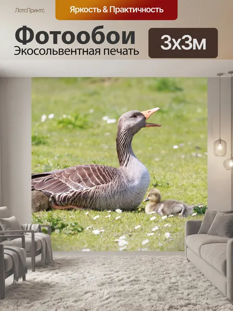 Фотообои Гуси