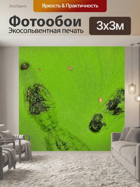 Фотообои Крокодилы