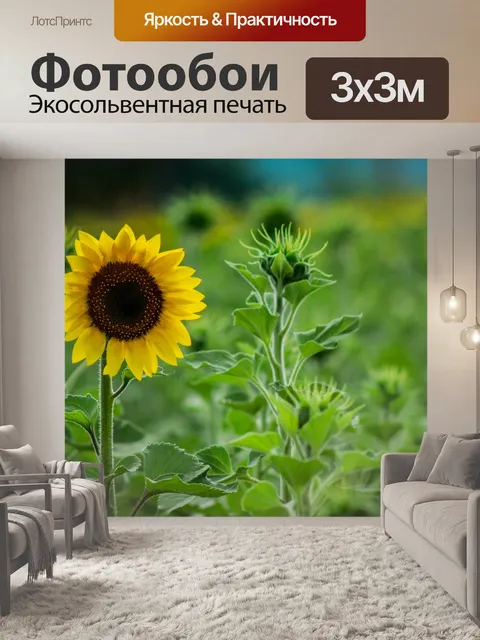 Фотообои Подсолнухи