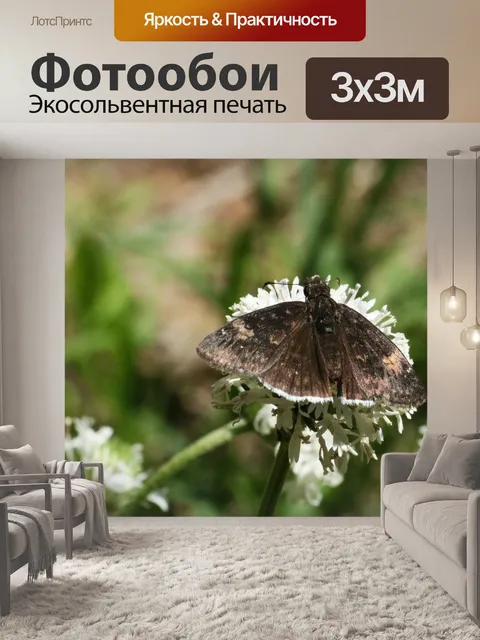 Фотообои Койотский облачный корабль