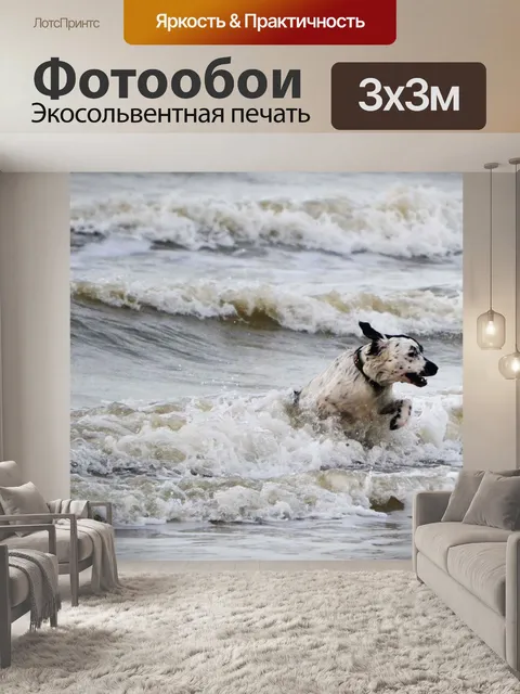 Фотообои Собака