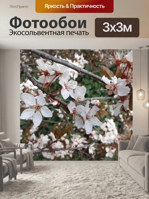 Фотообои Отвес