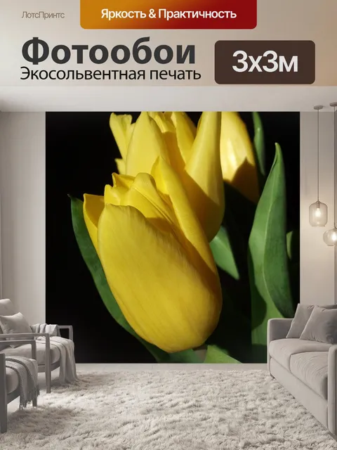 Фотообои Тюльпаны