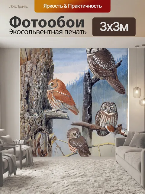 Фотообои Старинные совы художественная роспись