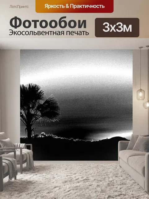 Фотообои Черно-белый Palm Tree