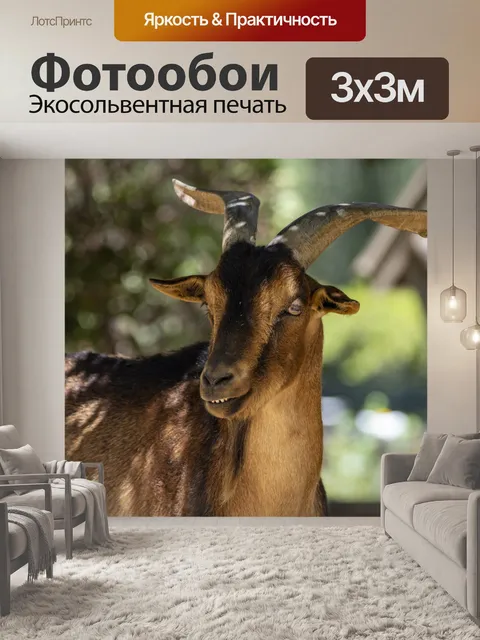 Фотообои горный козел