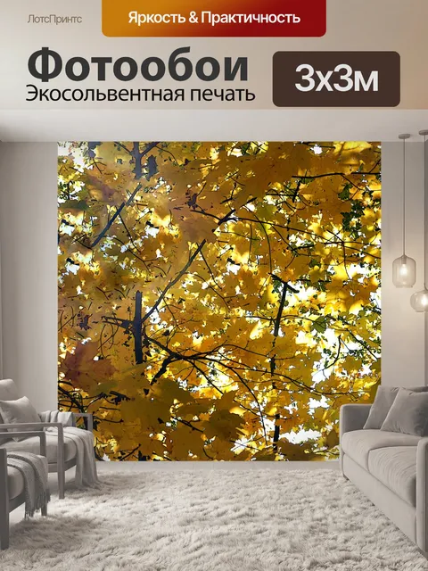 Фотообои Отрасли Золотые листья
