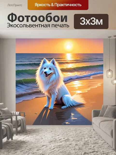 Фотообои изобразите белого шпица, который сидит на берегу моря во время заката, солнце отражается в его шерсти