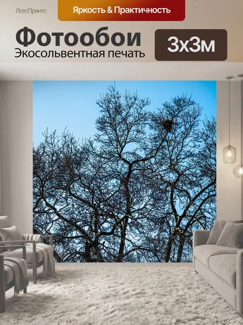 Фотообои Дерево