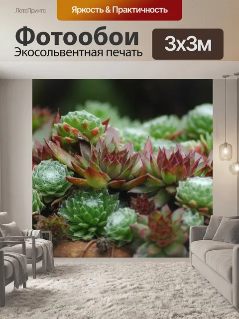 Фотообои Сад камней