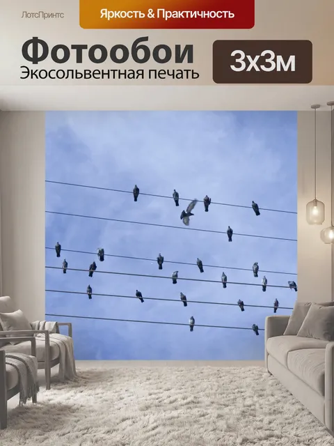 Фотообои Птицы на проводах