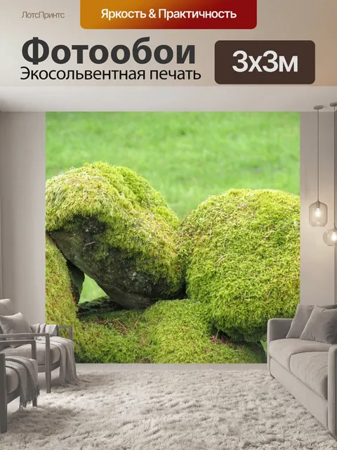 Фотообои Мох