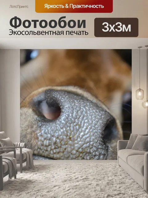 Фотообои Коровий нос