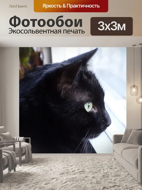 Фотообои Кот