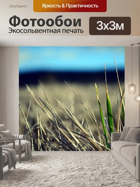 Фотообои Трава