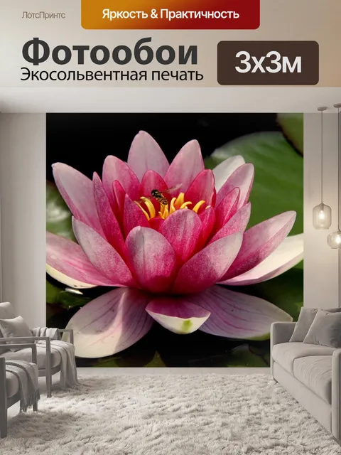 Фотообои Цветок