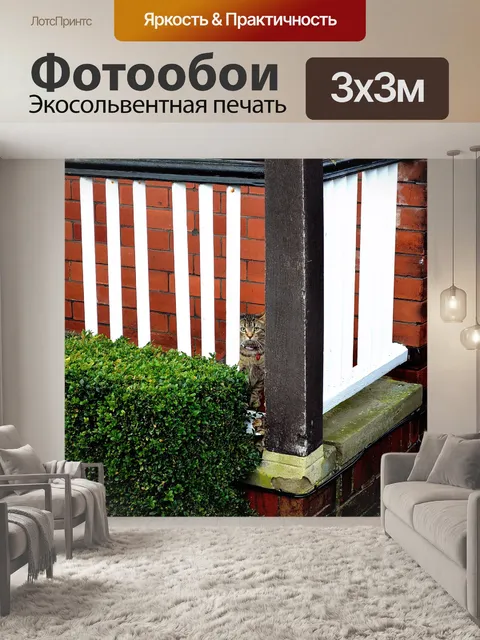 Фотообои кот за забором