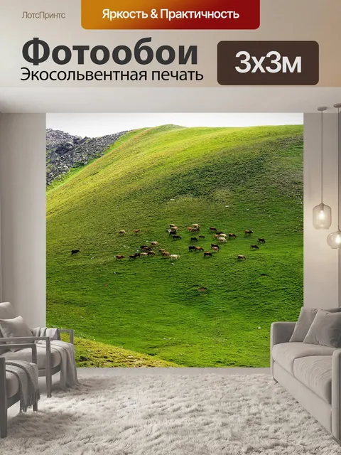 Фотообои Kackar