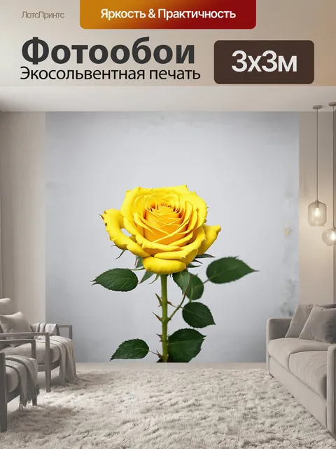 Фотообои роза, желтая, цветет