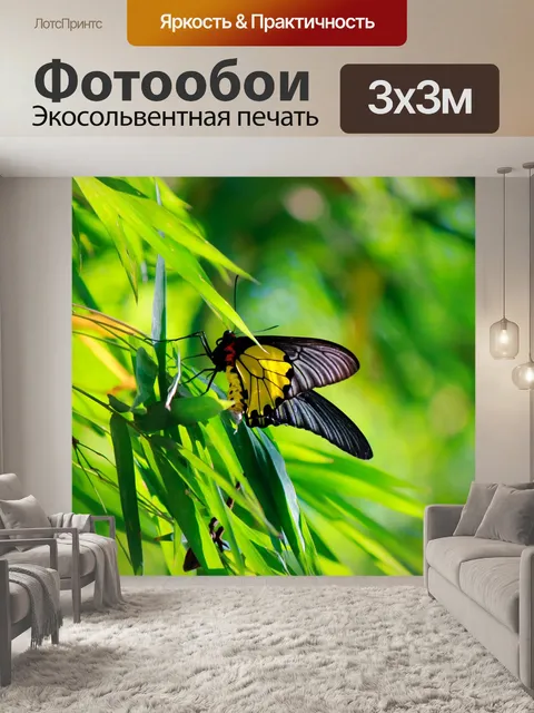 Фотообои Золотая бабочка