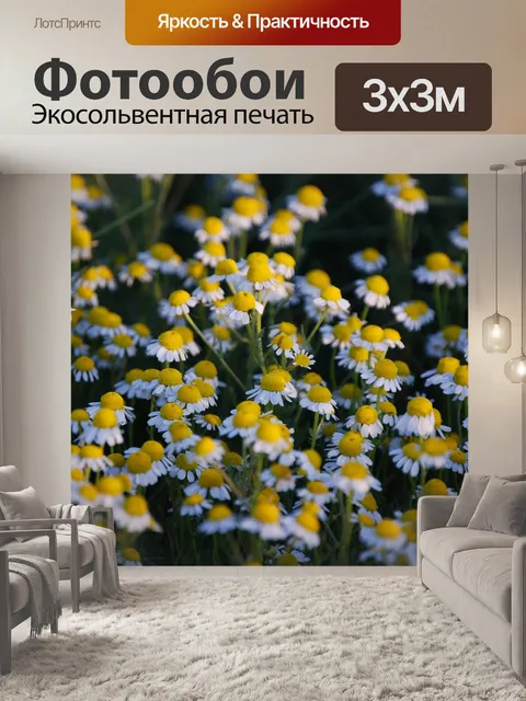 Фотообои Ромашка
