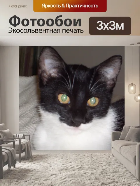 Фотообои Кошачий глаз с Рози Мари