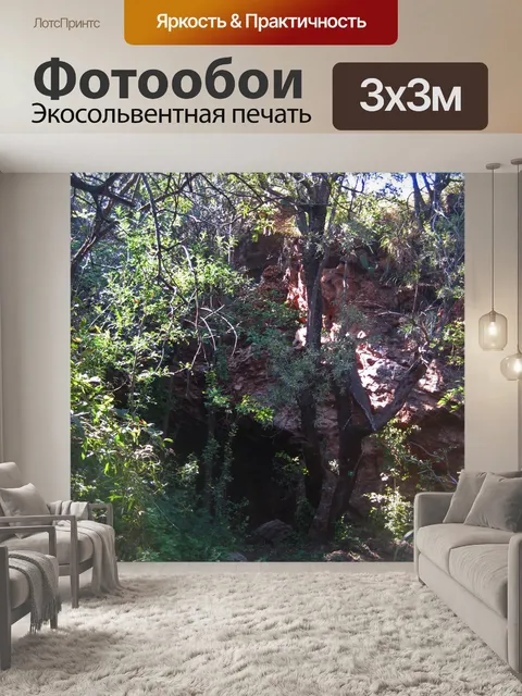 Фотообои деревья и растительность на открытии пещ