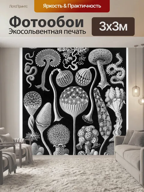 Фотообои Старинный старый Эрнст Геккель