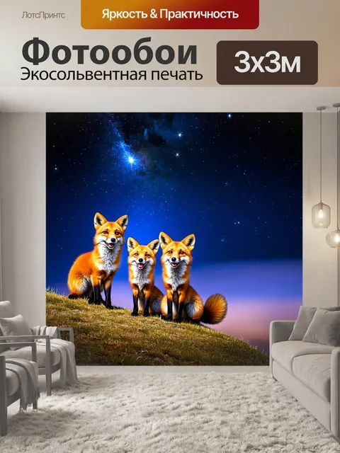 Фотообои животные, семейство лисиц, наблюдающих за звездами ночью с холма