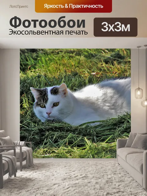 Фотообои Кошка