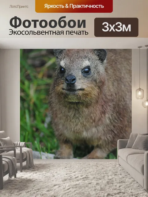Фотообои Рок daswallie