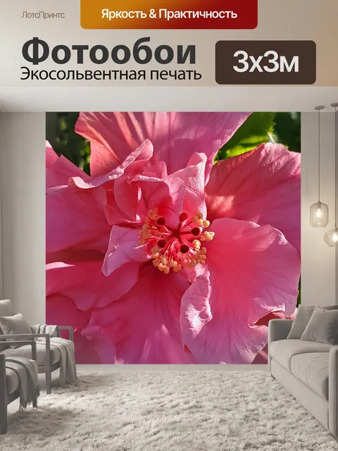 Фотообои Розовый цветок гибискуса
