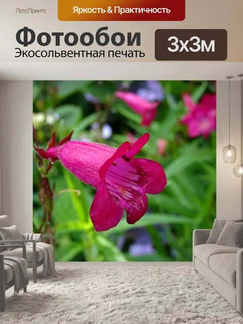 Фотообои Белл-формы Летние цветы