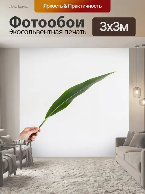 Фотообои Рука с тропическим листом