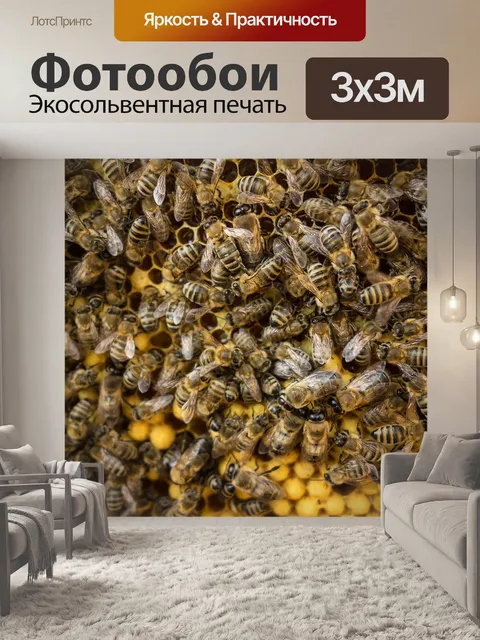 Фотообои Пчела