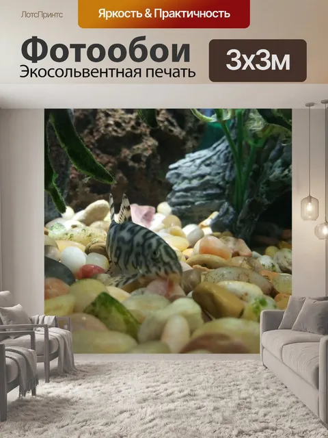 Фотообои Аквариум