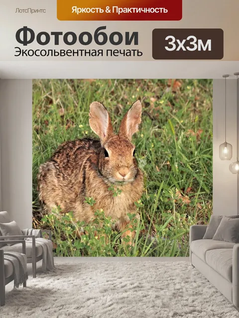 Фотообои Cottontail Rabbit Еда Wildflower