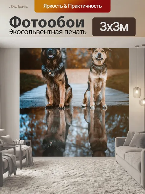 Фотообои Собака