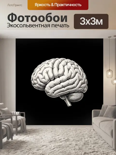 Фотообои Анатомический мозг на черном фоне