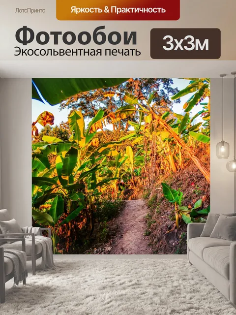 Фотообои утренний солнечный свет река Меконг