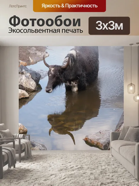 Фотообои Зоопарк
