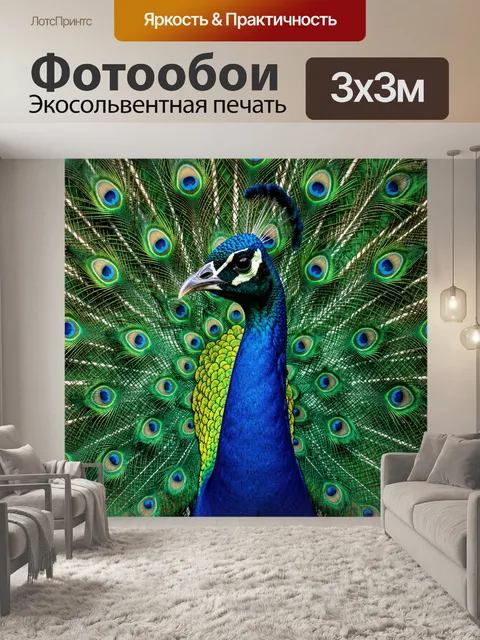 Фотообои Павлин с распущенным хвостом