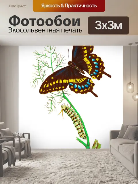 Фотообои Бабочка гусеница винтажное искусство