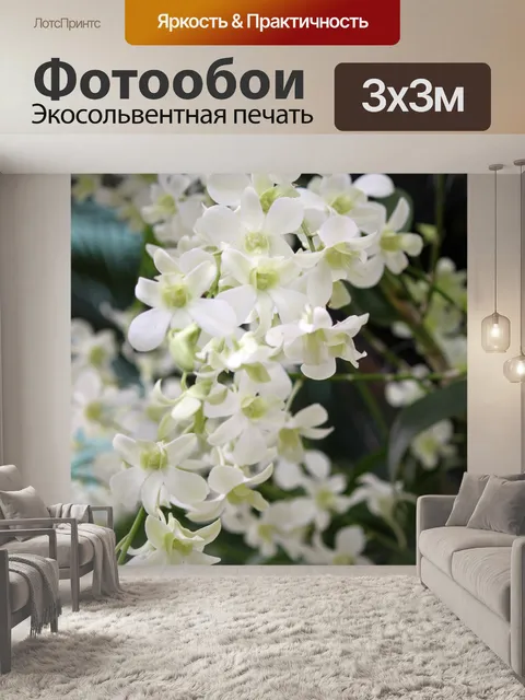 Фотообои Кусок белый цветок орхидеи