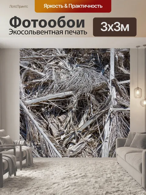 Фотообои сухие листья пальмы
