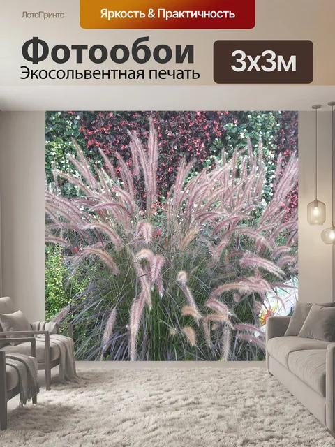 Фотообои красивые растения