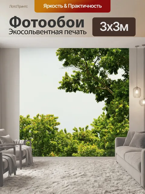 Фотообои белый Stinkwood дерево