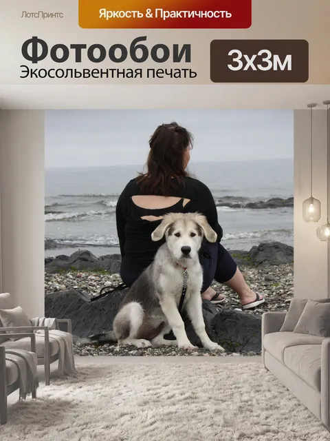 Фотообои Собака